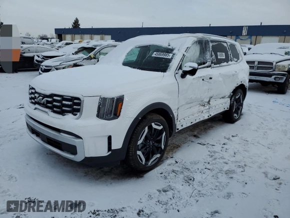 2024 Kia Telluride S with VIN 5XYP6DGC2RG564261, listed as a Copart auction lot 45869985 with 4,606 mi miles and Clean title. Bid and sale history available at DreamBid. Image 1.