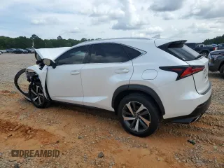 2019 Lexus NX 300 with VIN JTJYARBZ9K2150855, listed as a Copart auction lot 55296355 with Not provided miles and Salvage title. Bid and sale history available at DreamBid. Image 2.