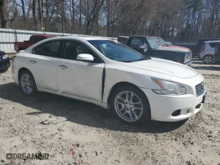 2010 Nissan Maxima 3.5 SV w/Premium Pkg with VIN 1N4AA5AP1AC844354, listed as a Copart auction lot 49237155 with 177,744 mi miles and Salvage Title. Bid and sale history available at carsss.com. Image 4.