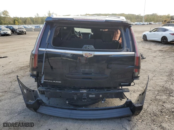 2019 Cadillac Escalade Luxury with VIN 1GYS4BKJ5KR391959, listed as a Copart auction lot 73730244 with 0 mi miles and Salvage Title. Bid and sale history available at carsss.com. Image 6.