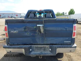 2013 Ford F-150 XL with VIN 1FTFX1EF6DFB32742, listed as a IAAI auction lot 42599093 with 166,933 mi miles and . Bid and sale history available at DreamBid. Image 16.
