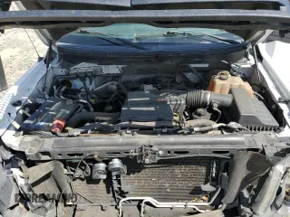 2009 Ford F-150 STX with VIN 1FTRX12W39KB38126, listed as a Copart auction lot 50437915 with 195,040 mi miles and Salvage title. Bid and sale history available at DreamBid. Image 12.