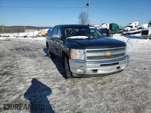 2013 Chevrolet Silverado 1500 LT with VIN 3GCPKSE71DG237981, listed as a Copart auction lot 42126845 with 228,252 mi miles and Salvage Title. Bid and sale history available at DreamBid. Image 10.