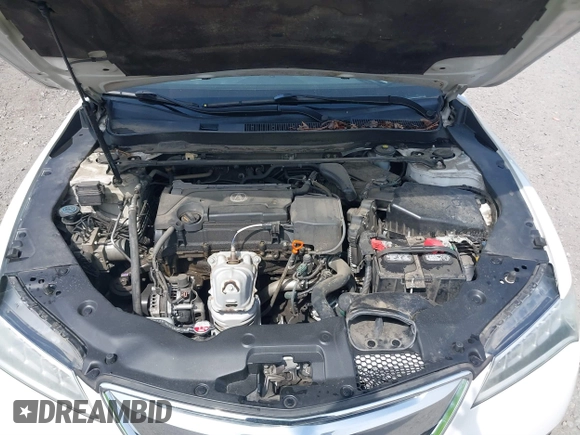 2015 Acura TLX Technology z VIN 19UUB1F56FA028300, wystawiony jako IAAI lot #41895422 z przebiegiem 188 353 mil mil oraz . Historia ofert i sprzedaży dostępna na DreamBid. Obrazek 10.