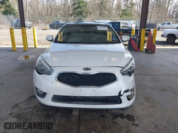 2014 Kia Cadenza Premium with VIN KNALN4D74E5138497, listed as a IAAI auction lot 41678439 with 155,194 mi miles. Bid and sale history available at carsss.com. Image 13.