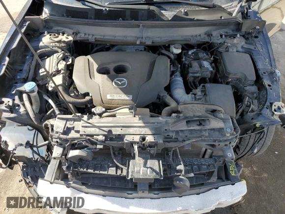 2017 Mazda CX-9 Signature with VIN JM3TCBEY3H0142750, listed as a Copart auction lot 44812375 with 116,479 mi miles and Salvage Title. Bid and sale history available at carsss.com. Image 13.