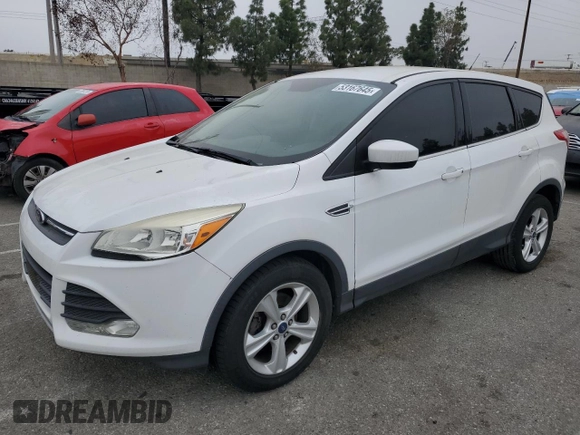 2014 Ford Escape SE with VIN 1FMCU0GX5EUD25338, listed as a Copart auction lot 53167645 with 171,443 mi miles and Clean Title. Bid and sale history available at carsss.com. Image 1.