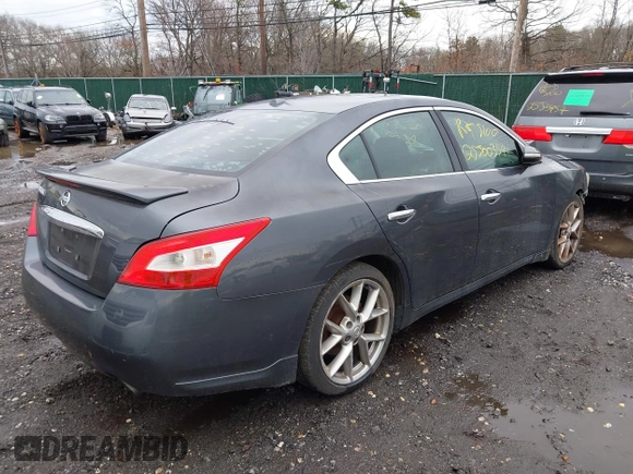 2010 Nissan Maxima 3.5 SV with VIN 1N4AA5AP2AC813162, listed as a IAAI auction lot 41966140 with Not Provided miles. Bid and sale history available at carsss.com. Image 4.