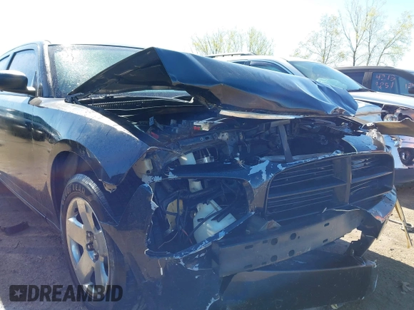 2008 Dodge Charger with VIN 2B3KA43R78H276417, listed as a IAAI auction lot 42139372 with 197,265 mi miles and . Bid and sale history available at DreamBid. Image 6.