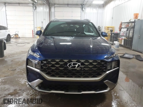 2022 Hyundai Santa Fe Calligraphy with VIN 5NMS54AL4NH440644, listed as a IAAI auction lot 41491812 with 29,671 mi miles. Bid and sale history available at carsss.com. Image 12.