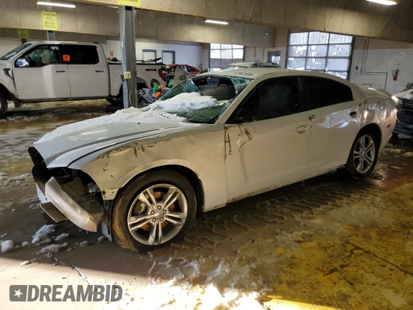 2014 Dodge Charger SXT Plus with VIN 2C3CDXJG1EH148428, listed as a Copart auction lot 41622695 with 0 mi miles and Salvage Title. Bid and sale history available at carsss.com. Image 1.