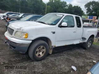 2000 Ford F-150 with VIN 2FTRX08W3YCA36619, listed as a Copart auction lot 62683885 with Not provided miles and Salvage title. Bid and sale history available at DreamBid. Image 1.