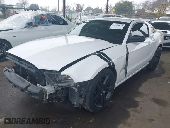 2013 Ford Mustang V6 with VIN 1ZVBP8AM8D5206791, listed as a IAAI auction lot 41156172 with 97,169 mi miles. Bid and sale history available at carsss.com. Image 2.