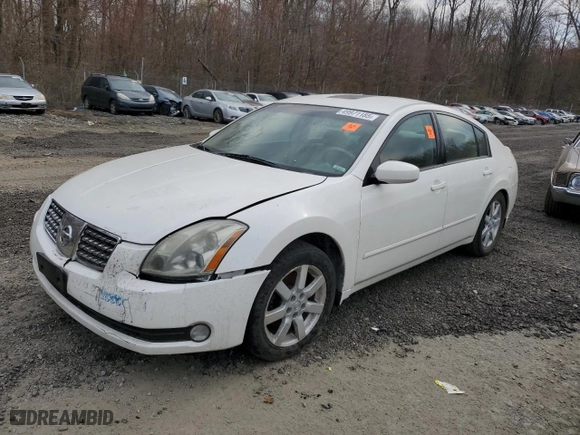 2004 Nissan Maxima SE with VIN 1N4BA41E84C924557, listed as a Copart auction lot 49971185 with NaN miles and Salvage Title. Bid and sale history available at carsss.com. Image 1.
