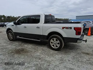 2019 Ford F-150 XL with VIN 1FTEW1E57KFB00501, listed as a Copart auction lot 49469185 with 251,210 mi miles and Clean Title. Bid and sale history available at carsss.com. Image 2.