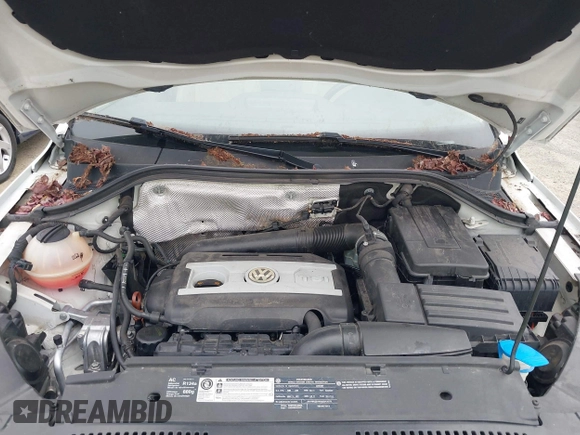 2010 Volkswagen Tiguan with VIN WVGBV9AX2AW513478, listed as a IAAI auction lot 42607466 with 63,780 mi miles and . Bid and sale history available at DreamBid. Image 10.