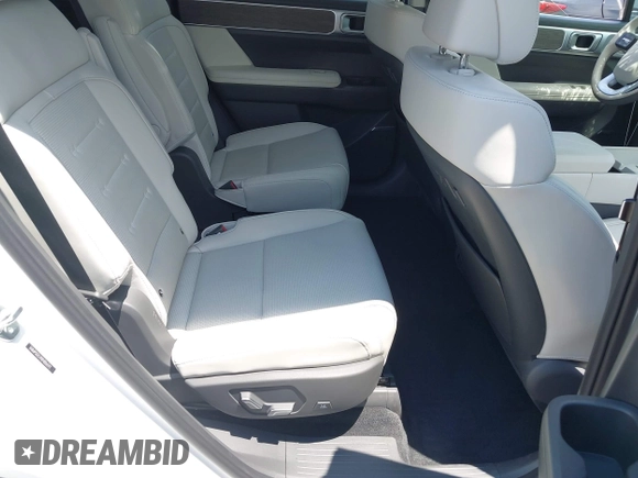 2024 Hyundai Santa Fe Calligraphy с VIN 5NMP5DG19RH006592, выставлен на аукционе IAAI как лот 42654567 с пробегом 19 156 миль миль и . История ставок и продаж доступна на DreamBid. Изображение 8.