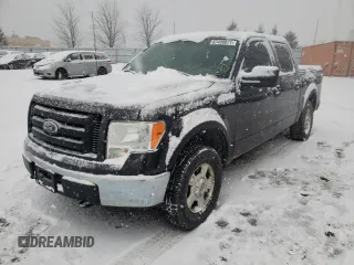 2010 Ford F-150 XL with VIN 1FTEW1E88AFC73162, listed as a Copart auction lot 67450871 with 288,009 mi miles and Clean title. Bid and sale history available at DreamBid. Image 2.