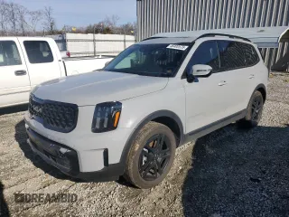 2024 Kia Telluride SX Prestige X-Pro with VIN 5XYP5DGC3RG491291, listed as a Copart auction lot 46400535 with 12,556 mi miles and Salvage Title. Bid and sale history available at DreamBid. Image 1.