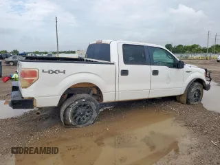 2013 Ford F-150 XL with VIN 1FTFW1EF8DFA45783, listed as a Copart auction lot 64494215 with 194,441 mi miles and Clean title. Bid and sale history available at DreamBid. Image 3.