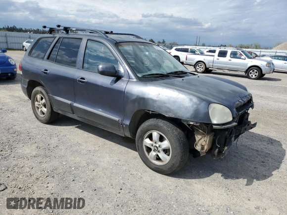 2005 Hyundai Santa Fe GLS with VIN KM8SC73D25U868391, listed as a Copart auction lot 50810045 with 119,074 mi miles and Salvage Title. Bid and sale history available at carsss.com. Image 4.