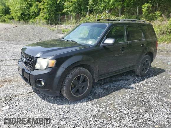 2010 Ford Escape XLT с VIN 1FMCU9DG1AKD04629, выставлен на аукционе Copart как лот 58465055 с пробегом 215 396 миль миль и Списание • Salvage title. История ставок и продаж доступна на DreamBid. Изображение 1.