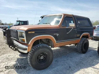 1981 Ford Bronco z VIN 1FMEU15G9BLA33517, wystawiony jako Copart lot #52392705 z przebiegiem 14 929 mil mil oraz Czysty tytuł • Clean title. Historia ofert i sprzedaży dostępna na DreamBid. Obrazek 1.
