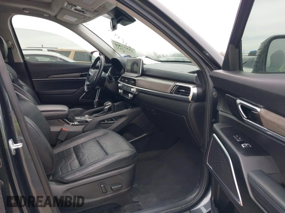 2020 Kia Telluride SX with VIN 5XYP5DHC9LG028738, listed as a IAAI auction lot 41577464 with 123,455 mi miles and . Bid and sale history available at DreamBid. Image 5.