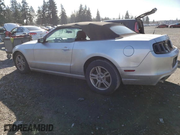 2014 Ford Mustang V6 with VIN 1ZVBP8EM6E5310711, listed as a Copart auction lot 46659955 with 120,145 mi miles and Salvage title. Bid and sale history available at DreamBid. Image 2.