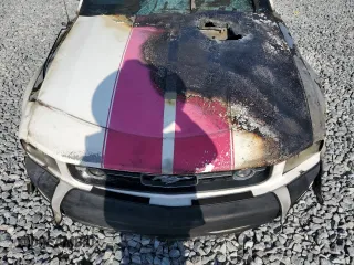 2008 Ford Mustang Deluxe with VIN 1ZVHT84N085133559, listed as a Copart auction lot 57449265 with Not provided miles and Salvage title. Bid and sale history available at DreamBid. Image 11.