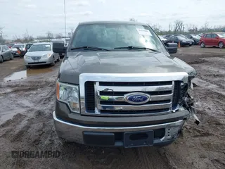 2009 Ford F-150 XL with VIN 1FTRF12W49KB41698, listed as a IAAI auction lot 41949081 with 161,561 mi miles and . Bid and sale history available at DreamBid. Image 12.