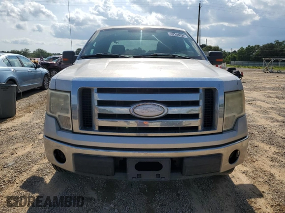 2009 Ford F-150 XLT with VIN 1FTRX12V89FA40192, listed as a Copart auction lot 62384525 with 276,253 mi miles and Clean title. Bid and sale history available at DreamBid. Image 5.