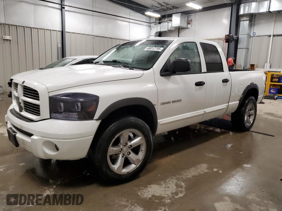 2006 Dodge 1500 SLT with VIN 1D7HU18246J115647, listed as a Copart auction lot 48012795 with 290,436 mi miles and Clean Title. Bid and sale history available at carsss.com. Image 1.