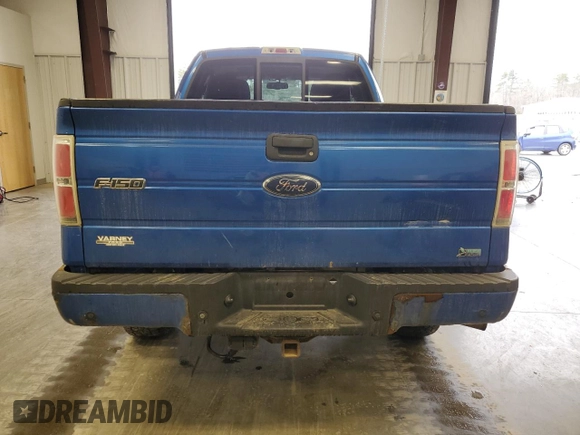 2010 Ford F-150 XL with VIN 1FTFX1EV9AFA79019, listed as a Copart auction lot 52525765 with 156,466 mi miles and Salvage Title. Bid and sale history available at carsss.com. Image 6.