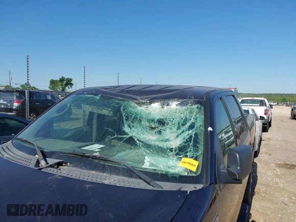 2004 Ford F-150 XLT with VIN 1FTRW14W74KC93965, listed as a IAAI auction lot 42234668 with 190,139 mi miles and . Bid and sale history available at DreamBid. Image 6.