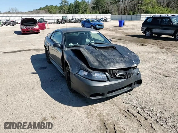 2002 Ford Mustang GT Deluxe with VIN 1FAFP42X82F110419, listed as a Copart auction lot 45711775 with 186,788 mi miles and Salvage Title. Bid and sale history available at carsss.com. Image 10.