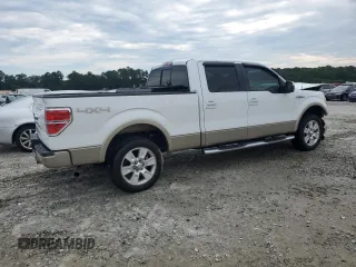2009 Ford F-150 XL with VIN 1FTPW14V19FB11482, listed as a Copart auction lot 62647635 with 317,024 mi miles and Salvage title. Bid and sale history available at DreamBid. Image 3.