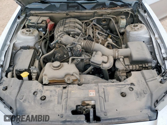 2014 Ford Mustang V6 with VIN 1ZVBP8AM6E5262861, listed as a Copart auction lot 62056095 with 196,946 mi miles and Salvage title. Bid and sale history available at DreamBid. Image 11.