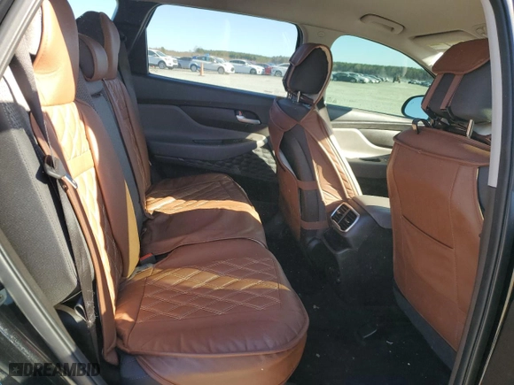 2020 Hyundai Santa Fe SEL with VIN 5NMS3CAD0LH188638, listed as a Copart auction lot 46309215 with 113,444 mi miles and Salvage Title. Bid and sale history available at carsss.com. Image 10.