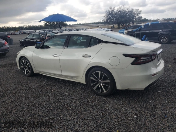 2023 Nissan Maxima SV with VIN 1N4AA6CV8PC511191, listed as a Copart auction lot 57969965 with 35,391 mi miles and Salvage title. Bid and sale history available at DreamBid. Image 2.