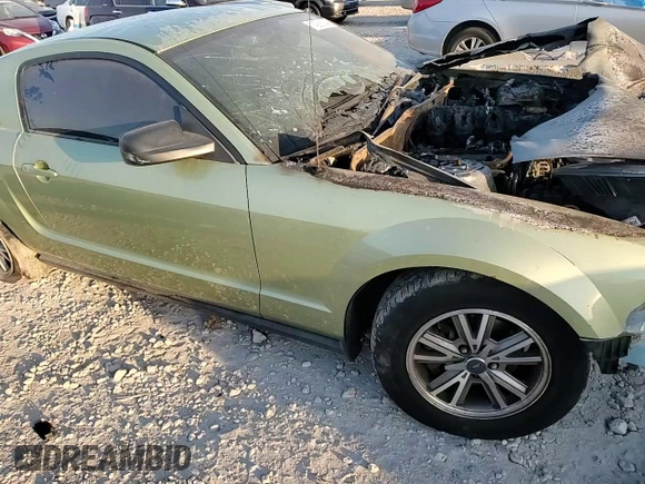 2005 Ford Mustang Deluxe with VIN 1ZVFT80N055136244, listed as a Copart auction lot 74286744 with 0 mi miles and Salvage Title. Bid and sale history available at carsss.com. Image 10.