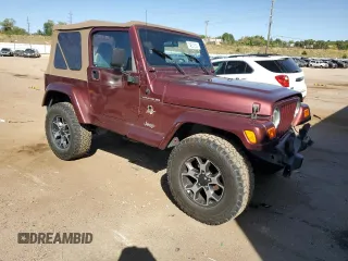 2002 Jeep Wrangler Sahara with VIN 1J4FA59S92P708647, listed as a Copart auction lot 74851654 with 131,794 mi miles and Salvage Title. Bid and sale history available at carsss.com. Image 4.