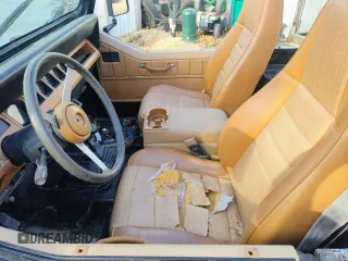1993 Jeep Wrangler "S" with VIN 1J4FY19P1PP243899, listed as a Copart auction lot 49513795 with 41 mi miles and Clean Title. Bid and sale history available at carsss.com. Image 5.