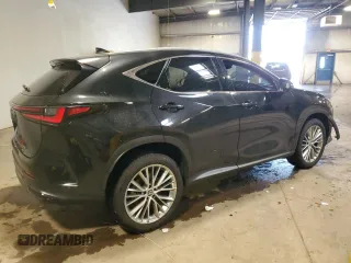 2024 Lexus NX 350 Luxury with VIN 2T2HGCEZ7RC034667, listed as a Copart auction lot 59150195 with 16,675 mi miles and Salvage title. Bid and sale history available at DreamBid. Image 3.