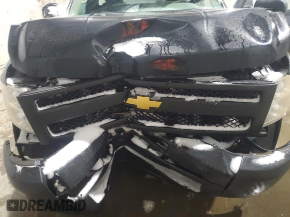 2013 Chevrolet Silverado 1500 Work Truck with VIN 1GCNCPEX3DZ284091, listed as a Copart auction lot 41699475 with 193,375 mi miles and Salvage Title. Bid and sale history available at DreamBid. Image 12.