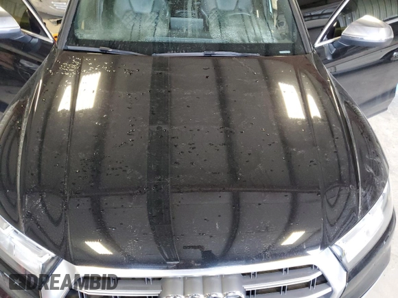 2018 Audi SQ5 Premium Plus with VIN WA1A4AFY7J2119403, listed as a Copart auction lot 88798535 with Not Provided miles and Salvage Title. Bid and sale history available at DreamBid. Image 12.