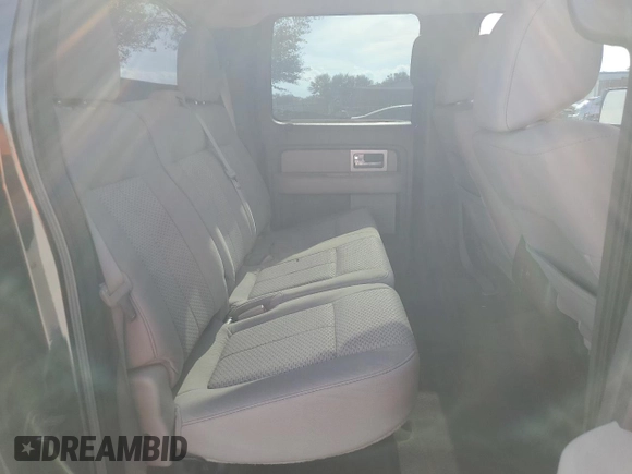 2010 Ford F-150 XL with VIN 1FTFW1CV6AFD01991, listed as a Copart auction lot 42699005 with 151,049 mi miles and Salvage Title. Bid and sale history available at DreamBid. Image 11.