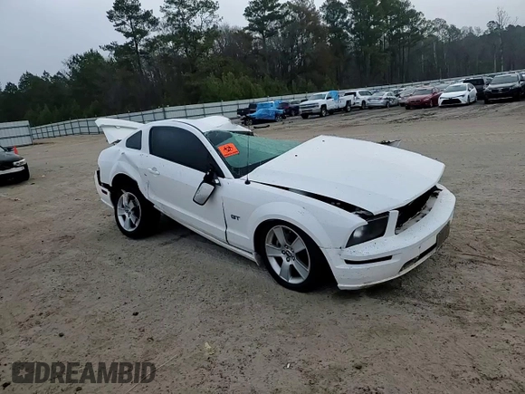 2006 Ford Mustang GT Deluxe with VIN 1ZVHT82H665248483, listed as a Copart auction lot 43163155 with 0 mi miles and Salvage Title. Bid and sale history available at carsss.com. Image 11.