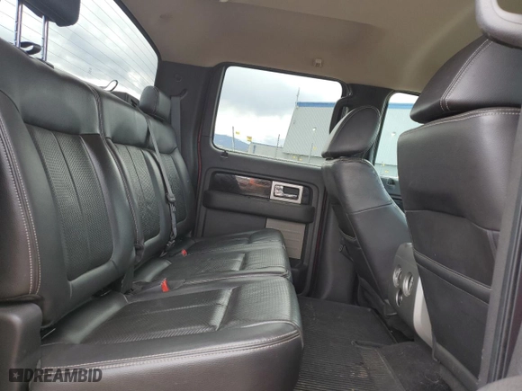 2009 Ford F-150 XL with VIN 1FTPW14V49FA52329, listed as a Copart auction lot 50773225 with 159,519 mi miles and Clean Title. Bid and sale history available at carsss.com. Image 10.