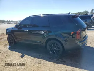2020 Kia Telluride SX with VIN 5XYP5DHC0LG032953, listed as a Copart auction lot 47104845 with 231,927 mi miles and Salvage Title. Bid and sale history available at DreamBid. Image 2.